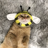 Маленькая пчела