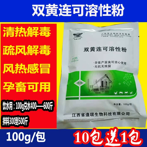 Beast Double Coptis Corporal Powder Peord Clear Detoxic Chicken Duck График двойной желтый лотос холод Авафиаризм дыхания против virus