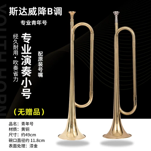 Профессиональные маленькие музыкальные инструменты для школьников, латунный громкоговоритель с зарядкой