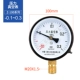 Relda Y100 thông thường đồng hồ đo áp suất chân không âm đồng hồ đo áp suất loại con trỏ 0-1.6mpa dầu khí áp suất nước máy nén khí đồng hồ đo