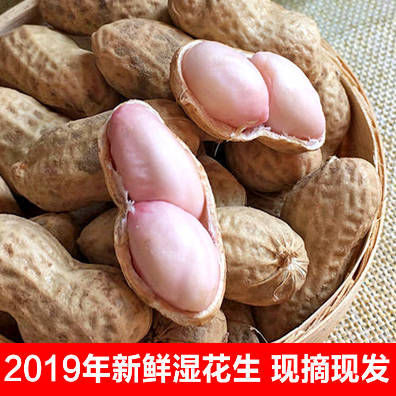 现挖现发 众农生鲜 粉衣新鲜带壳 燕山湖湿花生 4斤 淘宝优惠券折后¥13.9包邮(¥23.9-10) 现挖现发 众农生鲜 粉衣新鲜带壳 燕山湖湿花生 4斤 淘宝优惠券折后¥13.9包邮(¥23.9-10)