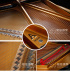 [99 mới] đàn piano cũ nhập khẩu Đàn piano Steinway Steinway A 2008 - dương cầm đàn dương cầm dương cầm