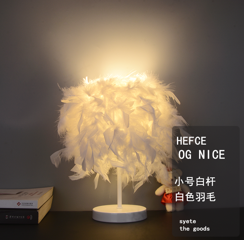 (Small White Pole) Eye Protection Bulb-7wInternet celebrity Feather Desk lamp girl ins Decorative lamp sleep nurse cozy remote control dream bedroom Bedside Night light