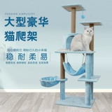 Кошка кошка скалолаза