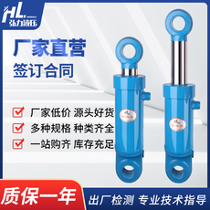 Гидравлический цилиндр 100缸径hsg12吨双向油缸液压缸定做单向液压缸油缸定做耳环