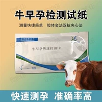 5 Тестовая бумага ранней беременности