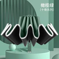 Обратный десять оливковых зеленого солнцезащитного крема для костей