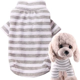 Biens Dog Clothing Cats в летних тонких плюшевых VIP