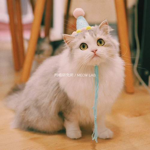 Шапка ручной работы, плетеный милый трикотажный шарф