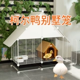 Покупать до тысячи 12 цветов Клетной Клетки, клетки для клетки для утят, домашняя комната большая