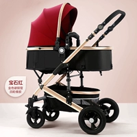 Гем -красный четырехколесный резина (местная золотая трубка)