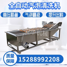 Цветы 真空食品包装袋清洗机价格大葱气泡清洗机制造商百香果清洗设备