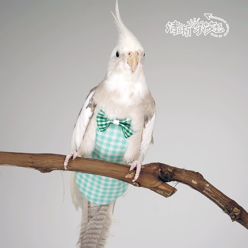 Моча птицы без мокрого попугая одежды Трехмерная регулировка дерьма карманная полета может быть очищена и повторно используется для бесплатной доставки Shentong Shentong