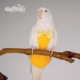 Моча птицы без мокрого попугая одежды Трехмерная регулировка дерьма карманная полета может быть очищена и повторно используется для бесплатной доставки Shentong Shentong