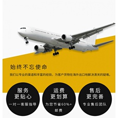 Компактной мешки 国际清关快递出口 寄美国加拿大德国意大利荷兰瑞士 包税物流转运