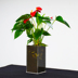 Hoa acrylic thời trang hoa để bàn hoa bình nước văn hóa cây xanh anthurium chậu hoa tre phong phú chậu hoa bình đất - Vase / Bồn hoa & Kệ chậu trồng cây Vase / Bồn hoa & Kệ