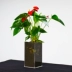 Hoa acrylic thời trang hoa để bàn hoa bình nước văn hóa cây xanh anthurium chậu hoa tre phong phú chậu hoa bình đất - Vase / Bồn hoa & Kệ