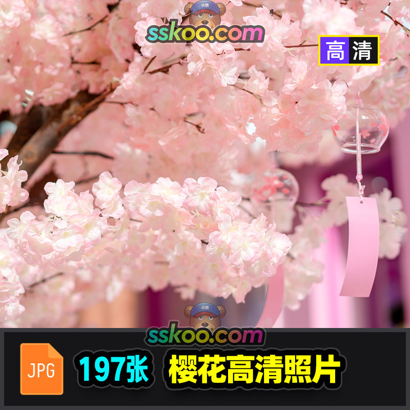 高清粉色樱花花卉春天春季自然风光风景美景图片图库图集素材