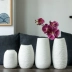 Đơn giản và hiện đại bình gốm bàn ăn ánh sáng trang trí sang trọng phòng khách phòng ngủ hoa khô trang trí nhà văn học nghệ thuật bình hoa