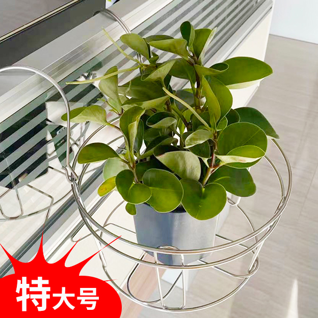 Thép không gỉ ban công kệ hoa tròn treo chậu hoa bậu cửa sổ treo chậu cây mọng nước thì là xanh treo lan can kệ để cây sen đá kệ de cây trong nhà