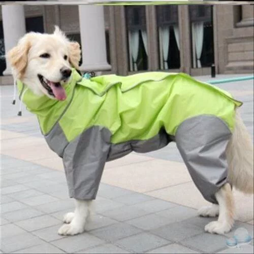 Большой Самои -всеобъемлющий собачий щенок прозрачный золотой ретривера средней собачьей одежды плюшевая плащ.