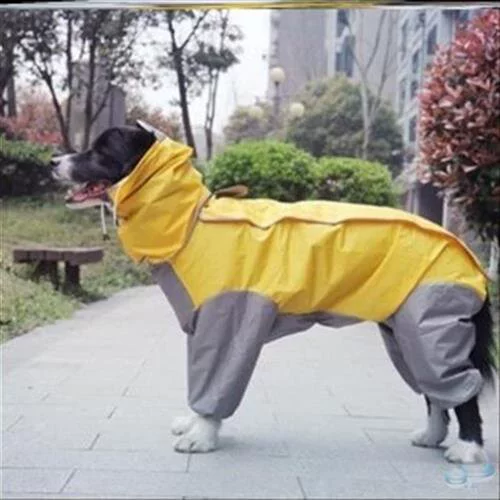 Большой Самои -всеобъемлющий собачий щенок прозрачный золотой ретривера средней собачьей одежды плюшевая плащ.