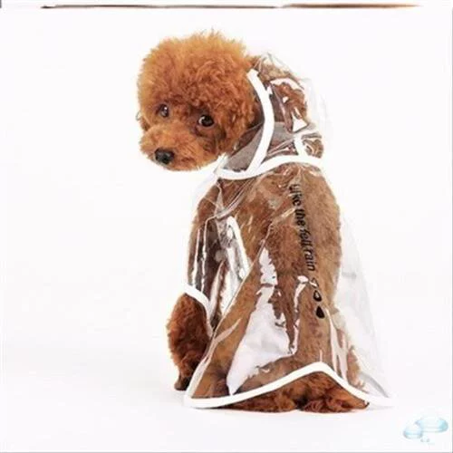 Большой Самои -всеобъемлющий собачий щенок прозрачный золотой ретривера средней собачьей одежды плюшевая плащ.