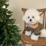 Домашний кошка и собака сгущенным меховым воротником осенью и зимним теплым хлопковым пальто