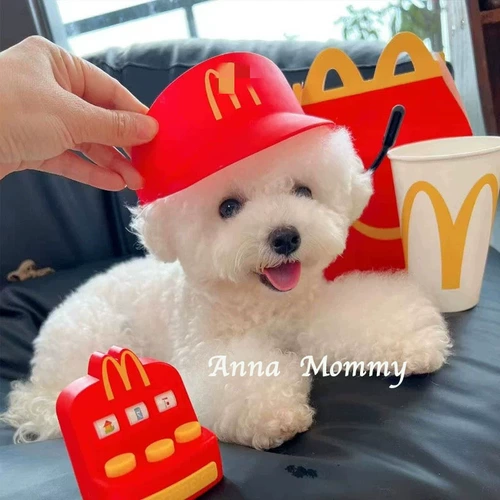 Собака Макдональдс, кошка, кошка Макдональдс