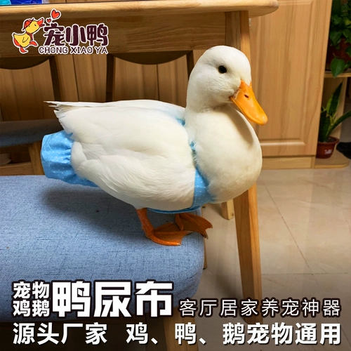 Чистые подгузники из утки красного питомца, подгузники больших гусей, куриные кадки уткля