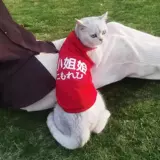 Кошачья одежда предотвращаю