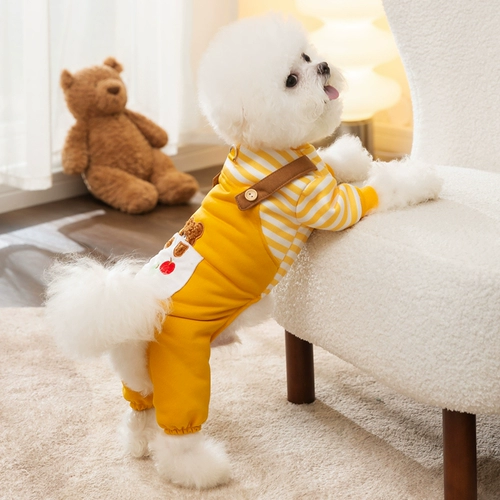 Может потянуть полосатые медведи, собаки, собачья одежда весна и осень, плюшевый барон, маленькая собачья домашняя кошка с четырьмя одеждой, зима