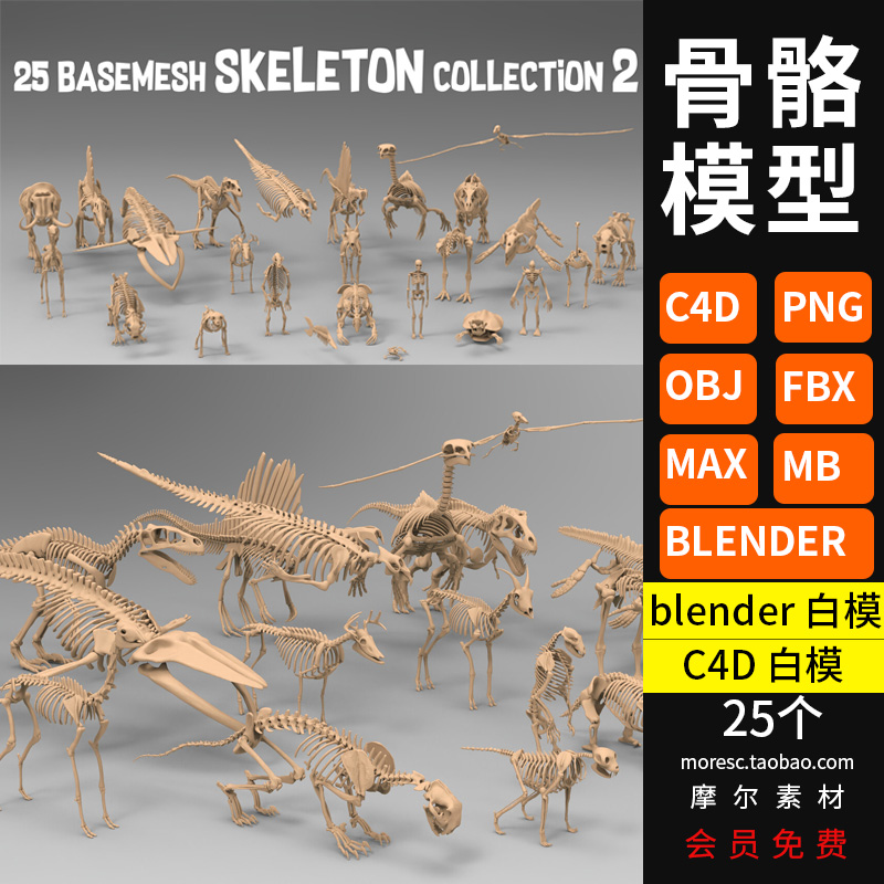 C4D原始动物恐龙骨骼骨架Blender模型fbx文件3D素材obj白模无材质 MX646-cg男孩