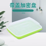 Подушки из фасоли растут прорастают саженцы и саженцы не имеют почвы выращивание воды