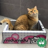Midumidu Summer Plomgy Bool Party Pet Cat Cat Cat кошачья кошачья кошачья кошачья когтя