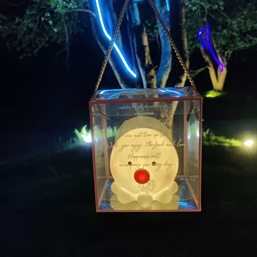 Дети в детском саду светятся Liuyi подарки, чтобы дать всем классу творческий призовой призовой приз