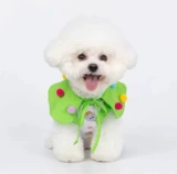 Одежда для любимой собаки кошачья одежда весна и летние ультратонкие причудливые