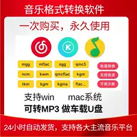Audio Music Format преобразование NCM KGM FLAC MGG M4A KWM MP4 ROTOR MP3 Music Converter