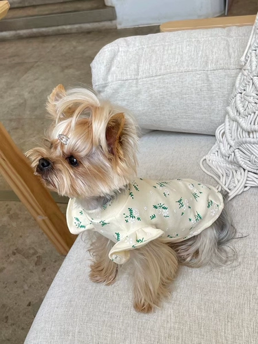 Сяотанская кара корейская версия весенней и летней одежды, шнурок с маленьким рукавом, собака и кошачья одежда мальцис -инжишсии и кошачья одежда