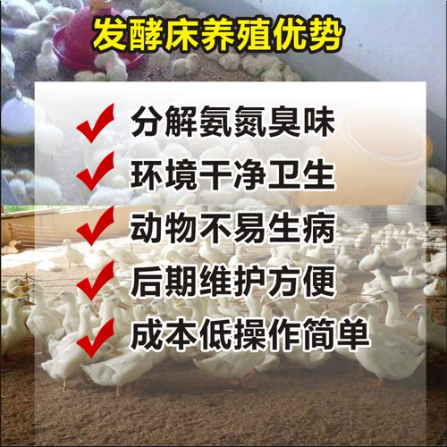 Сухой -сбрасываемой куриной ферментированный кровать бактерий бактерий балконы куриная клетка куриная куриная дом дезодоризация матовых ингредиентов опилок, семейная куриная кровать, сыпи грибки для благочестия