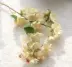 Cành hoa anh đào Nhật Bản hoa mô phỏng hoa anh đào mô phỏng hoa lê hoa đào đám cưới hoa anh đào trong nhà hoa giả cây mai giả lọ hoa giả đẹp Cây hoa trang trí