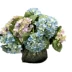 bó hoa giả Bó 3 cành hoa cẩm tú cầu trái cây, hoa giả, quả cầu tuyết nhỏ, hoa giả, trang trí bàn phòng khách, trang trí bó hoa cưới giả hạc daklay cây giả decor Cây hoa trang trí