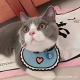 Шарф, розовый синий слюнявчик, аксессуар, наряжаться