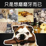 Собачья зубы шлифование палочки, устойчивые