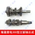 Longxin chống nước làm mát 300 250 200 lắp ráp trục chính và phụ LX ba bánh răng bánh răng - Xe máy Gears 	nhông xích xe máy Xe máy Gears