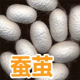 Свежий кокон из шелковика с шелкористыми куколками может производить мотыльки, шелковая шелковая шелковая живая шелковая червя Двойной дом кокон кокон можно накачать в виде образца шелковика