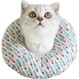 Элизабет кошка кошка горькая и облизывая, с учетом мягких рук кошка кошка и домашние животные поглощают стыд стыд Круг мягкий круг