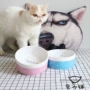 Mèo bát mèo thực phẩm bát gốm mèo bát mèo uống nước bát gốm sứ mèo và con chó nhu yếu phẩm hàng ngày phim hoạt hình vật nuôi mèo bát Dụng cụ uống nước cho chó