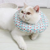 Элизабет кошка кошка горькая и облизывая, с учетом мягких рук кошка кошка и домашние животные поглощают стыд стыд Круг мягкий круг