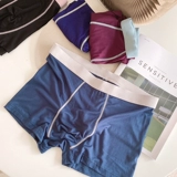 Трусы, тонкие штаны, шорты для мальчиков, свободный крой, подходит для подростков